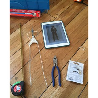 12568163_446944052160845_693122275_n